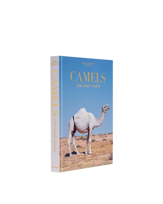 Camels from Saudi Arabia (Classic)